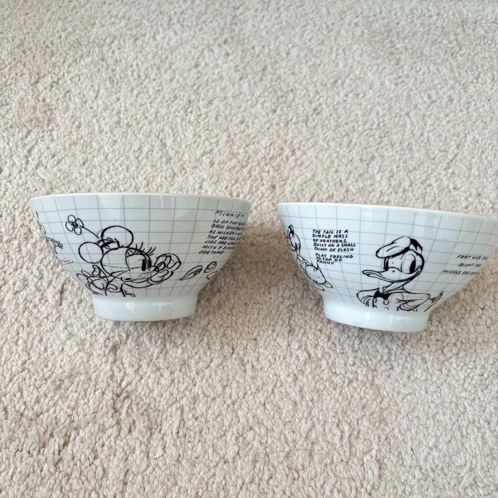 Disney Sketch Book Minnie Mouse & Donald Duck 16oz Bowl Set of 2